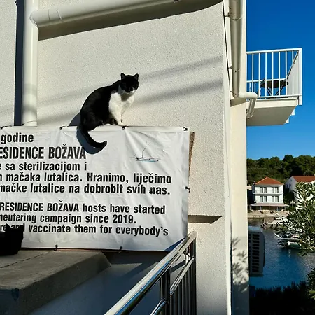 Apartment Gajeta Bozava